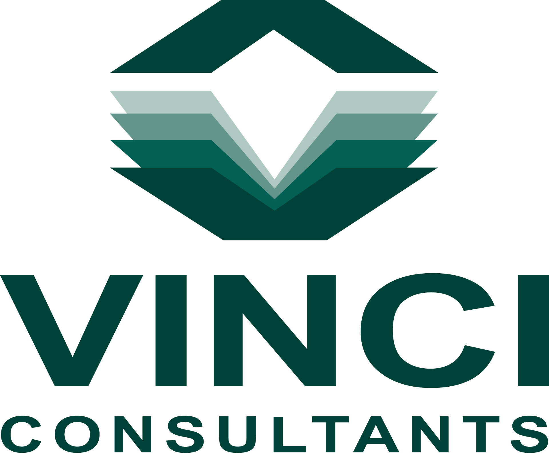 VINCI CONSULTANTS